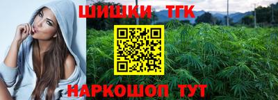 гашик Аргун