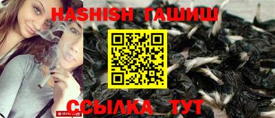 гашик Аргун